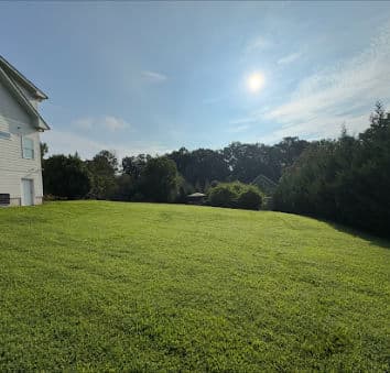 Sunlit grassy yard with trees in the background and a clear blue sky.