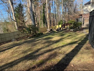 Lush backyard with trees, fence, and stone features under clear blue sky.
