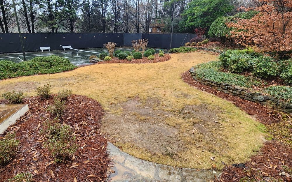 Bare patches in a lawn surrounded by greenery and a tennis court in the background.