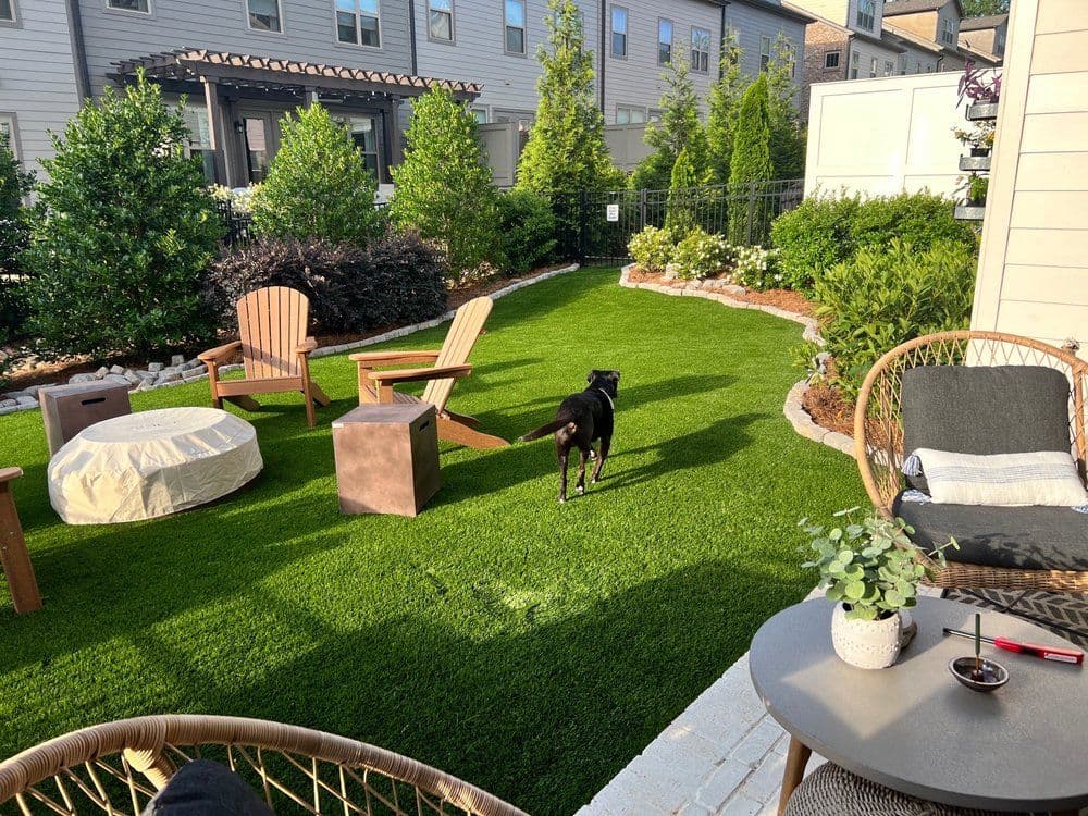 Black dog walking on a well-maintained lawn with outdoor furniture and landscaping.