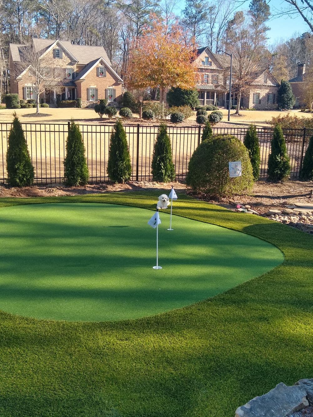 Putting green with flags and a decorative dog statue in a landscaped backyard setting.