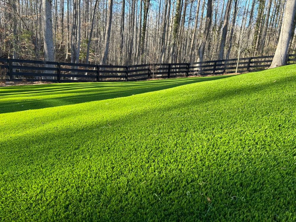 Lush green artificial turf on a slope surrounded by tall trees and a wooden fence.