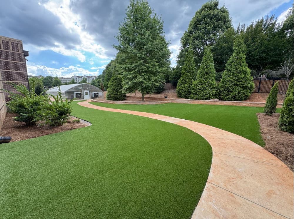 Lush green lawn with curved pathway and trees in landscaped backyard setting.