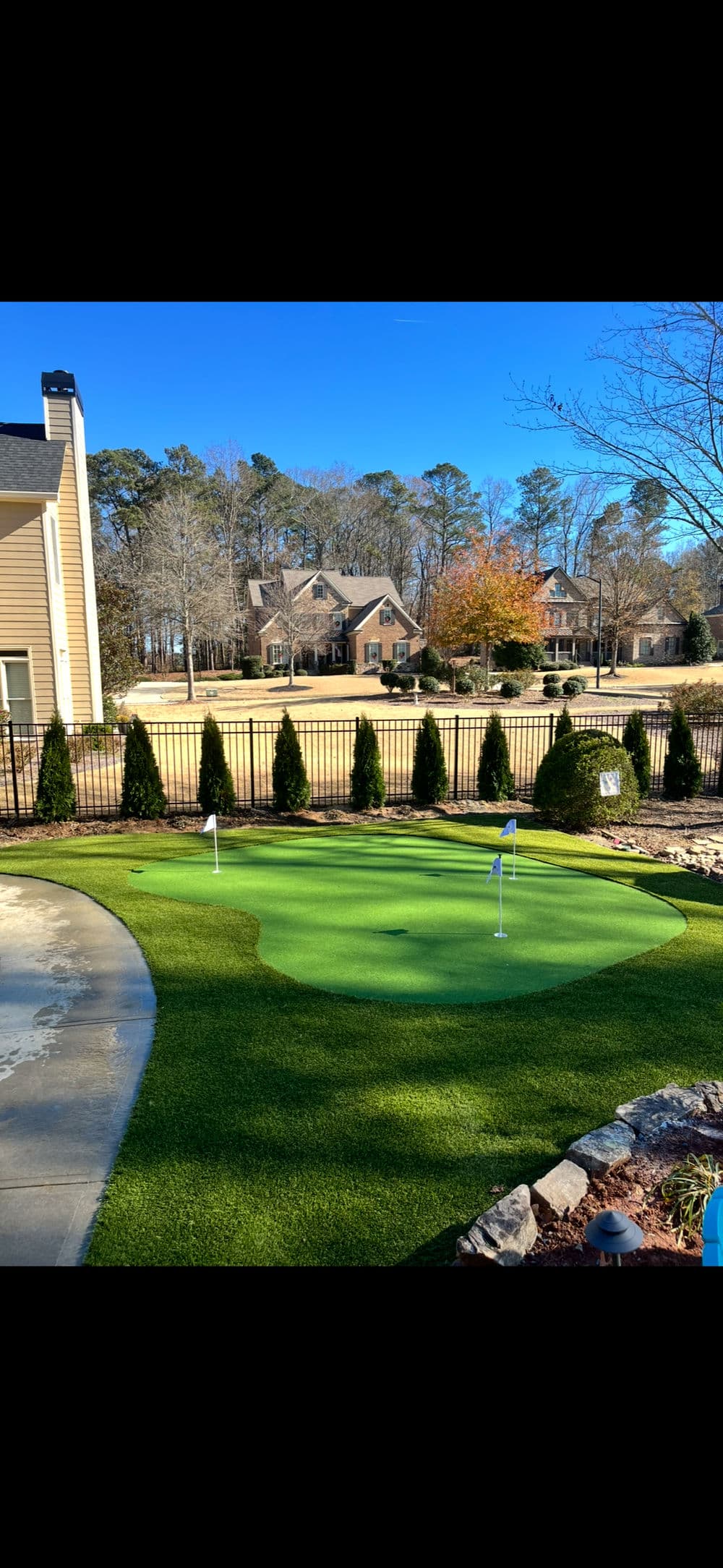 Backyard putting green with flags, bordered by lush pine trees and residential homes.