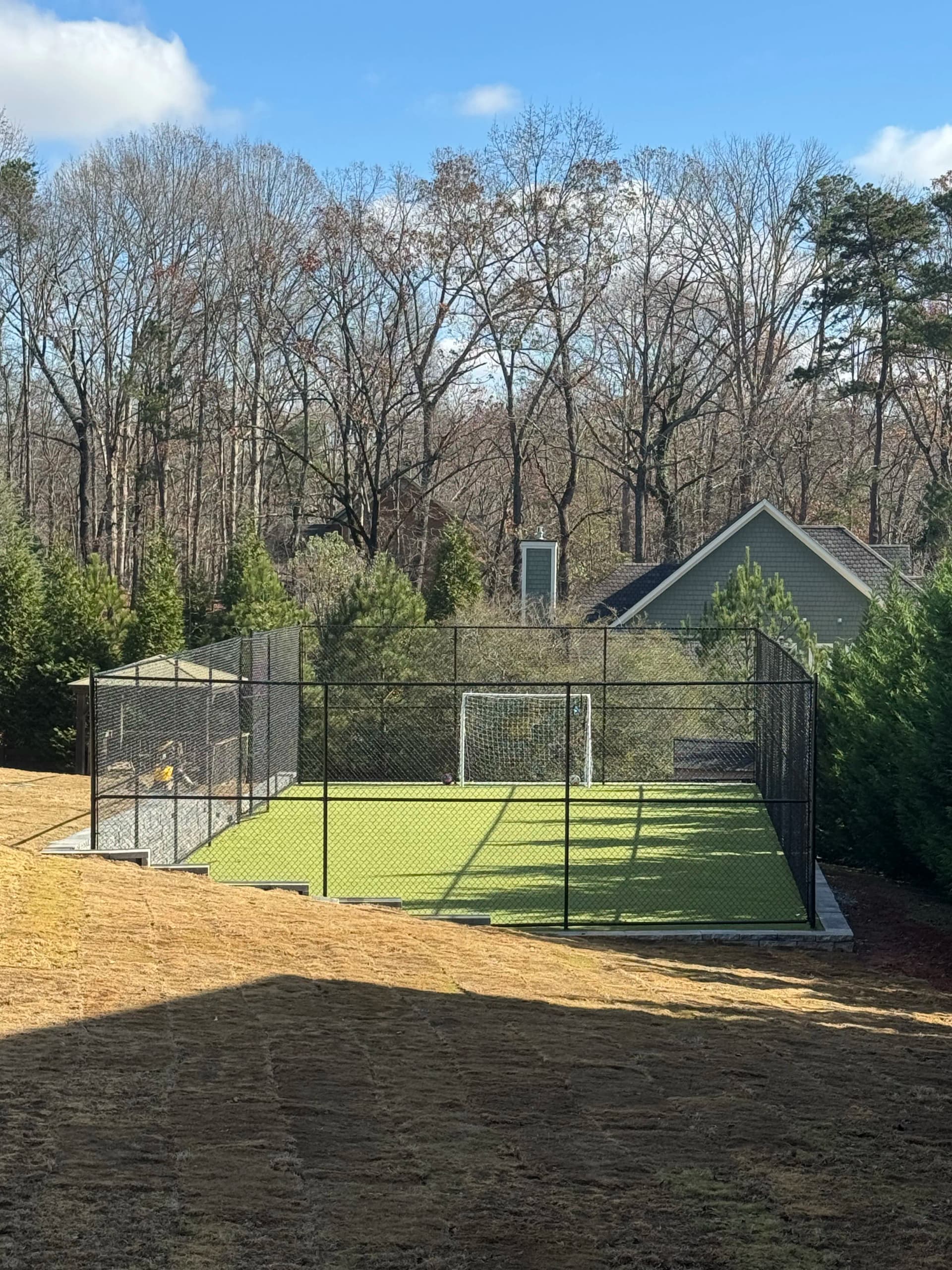 Backyard Soccer Court With Artificial Turf and Full Enclosure image